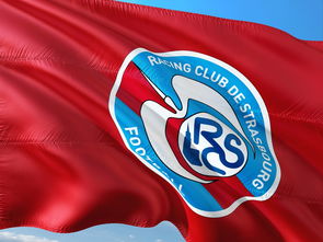 开云体育在线-帕尔梅拉斯防守反击战术成亮点，挑战欧洲豪强