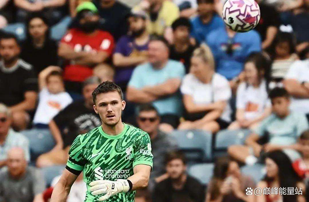 球队新援正式亮相，球迷期待两度升级