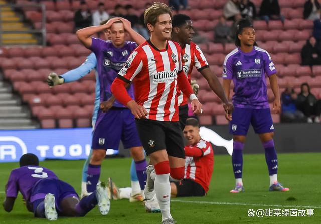 南安普顿客场逆转莱斯特城，连胜喜人的简单介绍