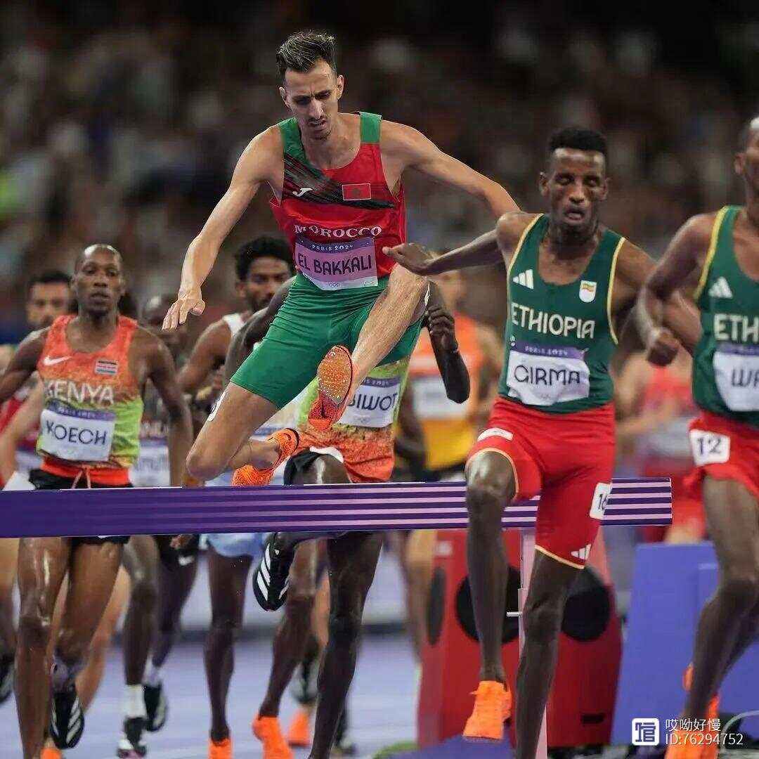 开云官网-关于摩洛哥运动员在田径项目中表现亮眼，获得殊荣的信息