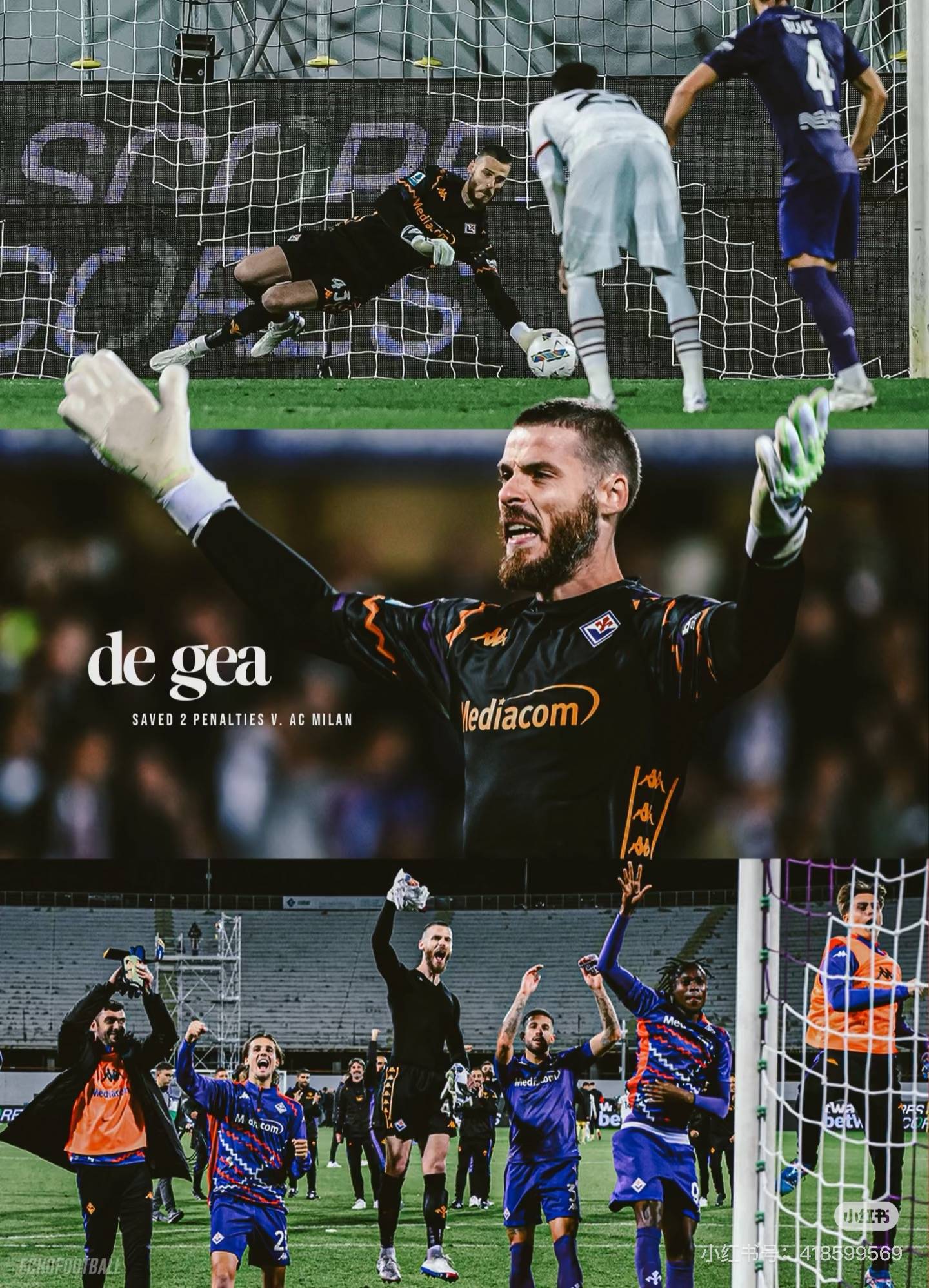 热那亚主场丢分，遭遇连败的简单介绍